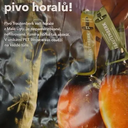 Daire Monty Žacléř